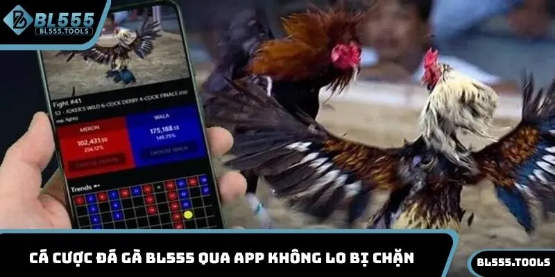 Cá cược đá gà BL555 qua app không lo bị chặn