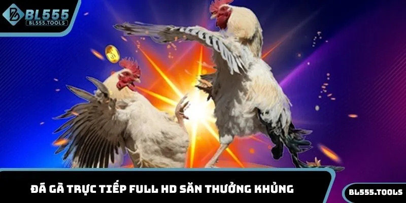 Đá gà trực tiếp full HD săn thưởng khủng